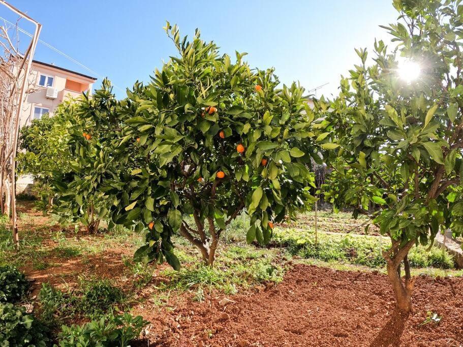 Apartment Margi Πούλα Εξωτερικό φωτογραφία