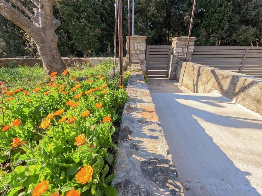 Apartment Margi Πούλα Εξωτερικό φωτογραφία